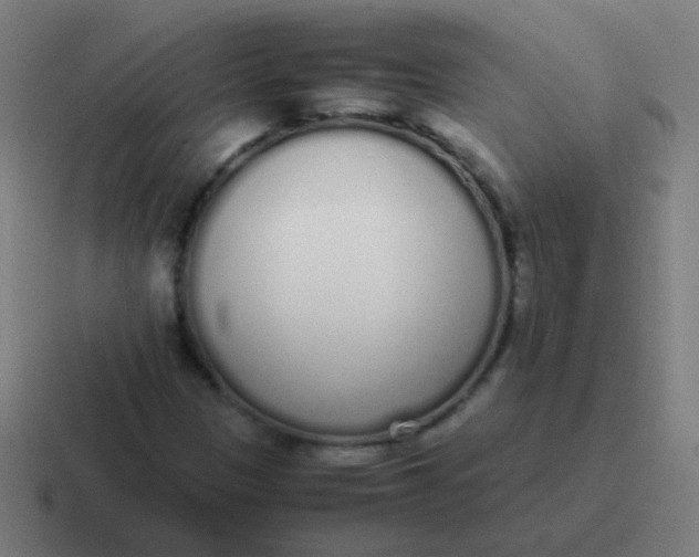 X0000116841305200912312047