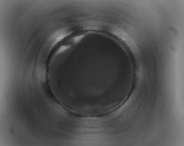 X0000116841306200912312047