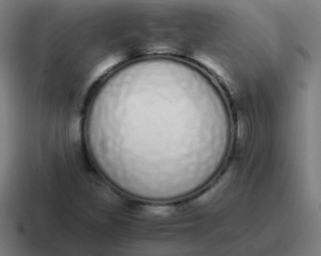 X0000116841309200912312047