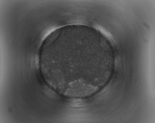 X0000116841310200912312047