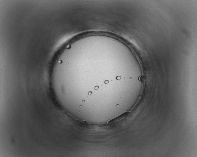 X0000116841311200912312047