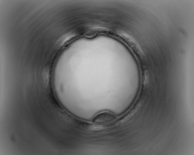 X0000116841313200912312047