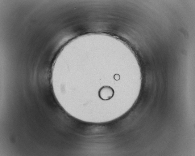 X0000116841314200912312047