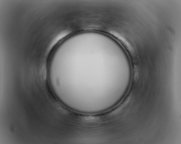 X0000116841317200912312047