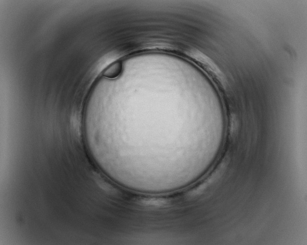 X0000116841321200912312047