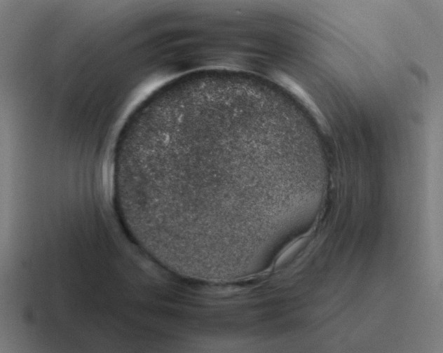 X0000116841323200912312047