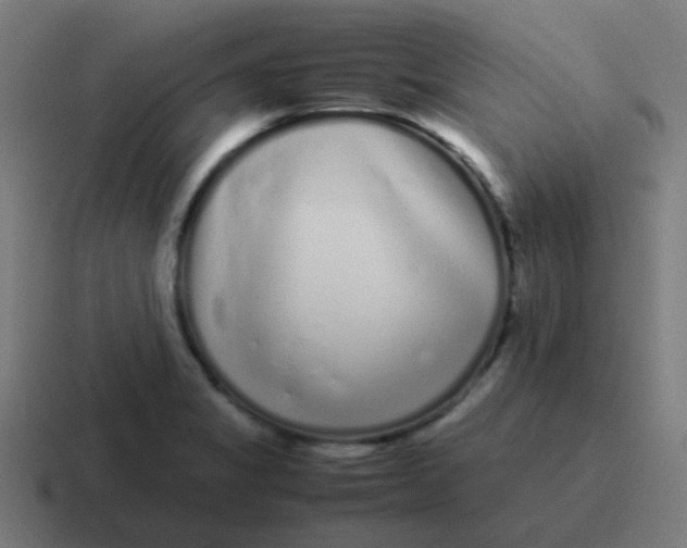 X0000116841325200912312047