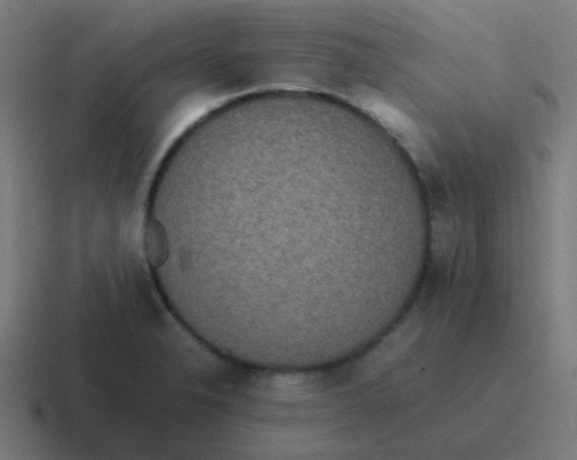 X0000116841326200912312047