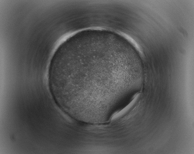 X0000116841327200912312047