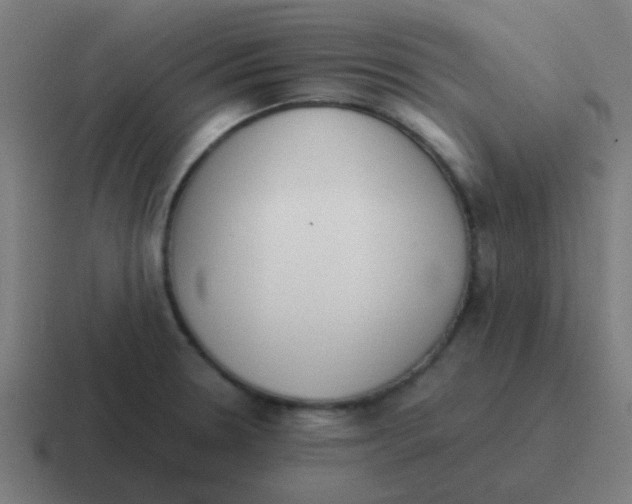 X0000116841330200912312047