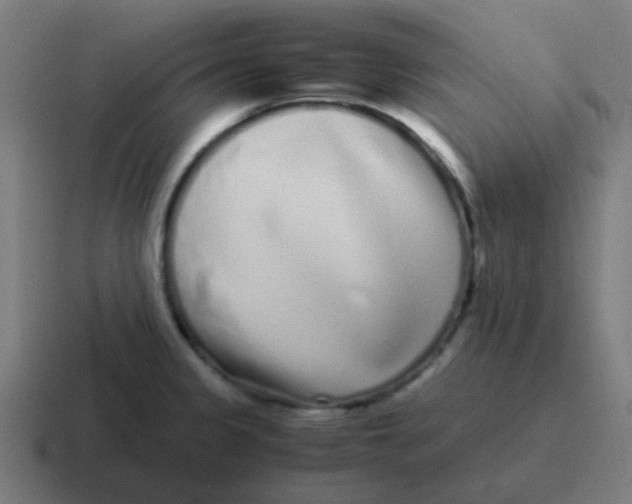 X0000116841333200912312047