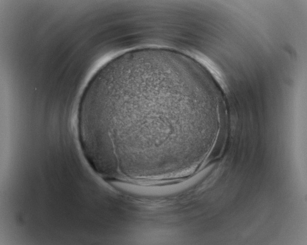 X0000116841334200912312047