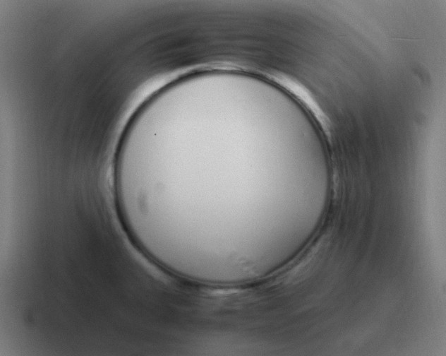 X0000116841335200912312047