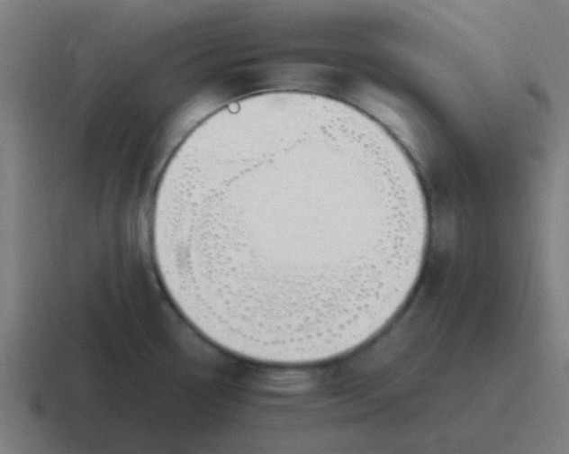 X0000116841338200912312047