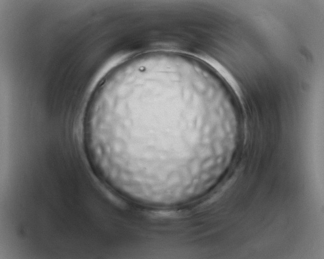 X0000116841341200912312047