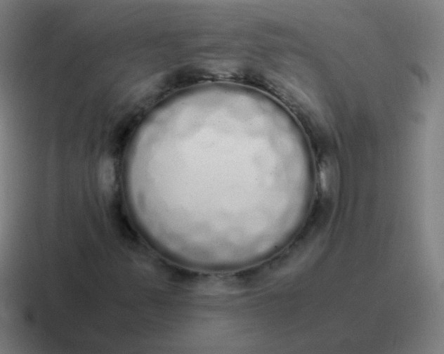 X0000116841347200912312046