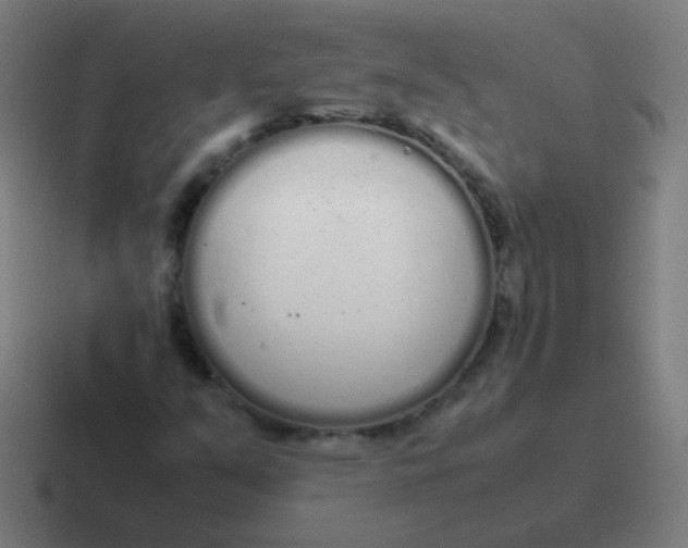 X0000116841351200912312046