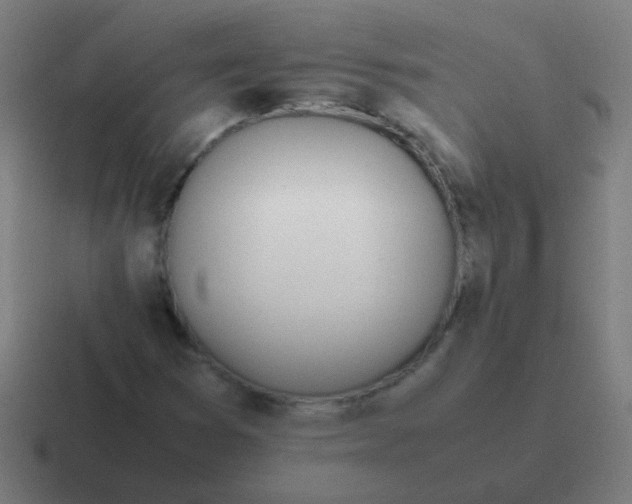 X0000116841353200912312046