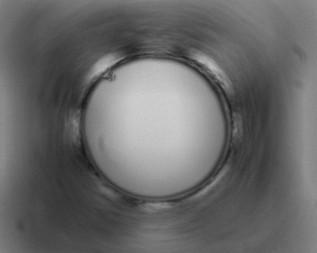 X0000116841354200912312046