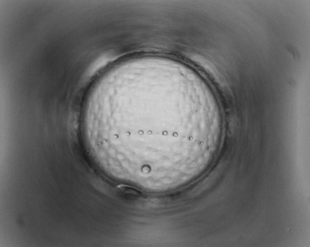 X0000116841355200912312046