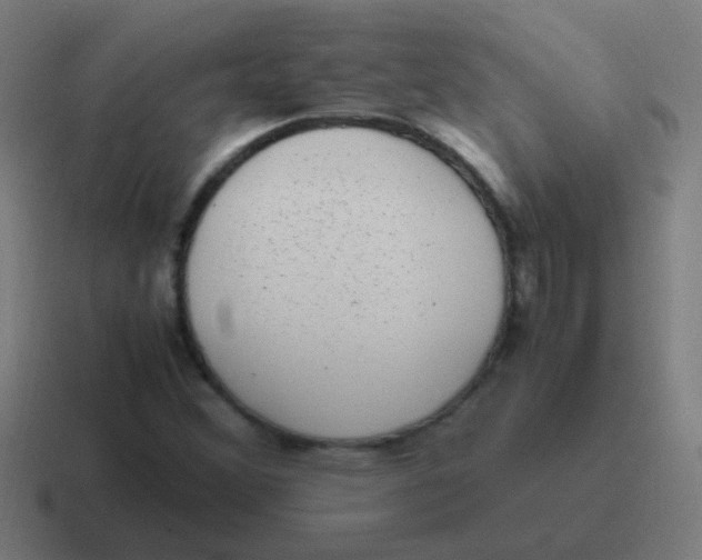 X0000116841356200912312046