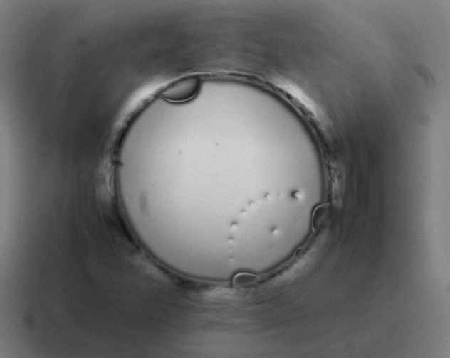 X0000116841358200912312046