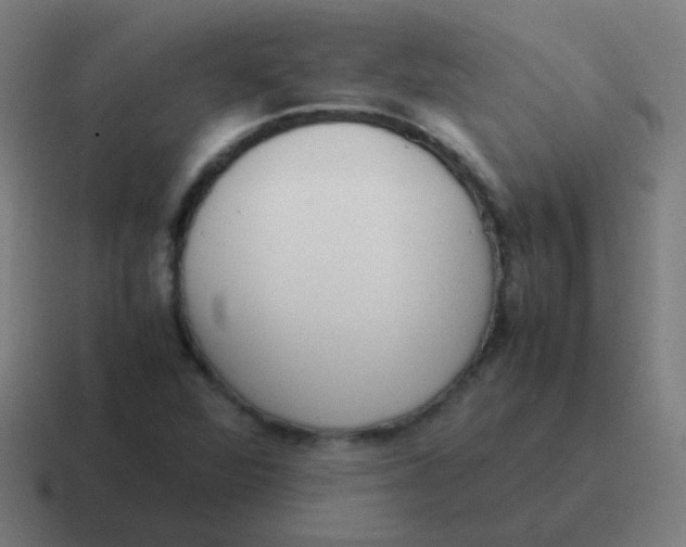 X0000116841360200912312046