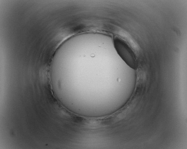 X0000116841361200912312046