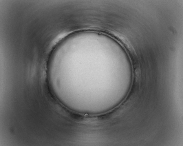 X0000116841363200912312046