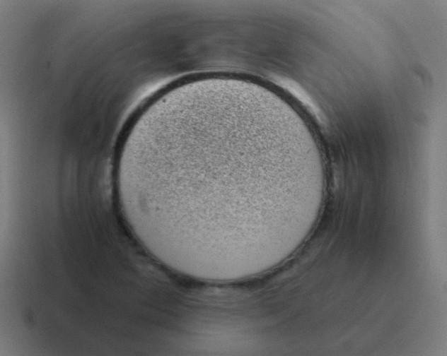 X0000116841364200912312046