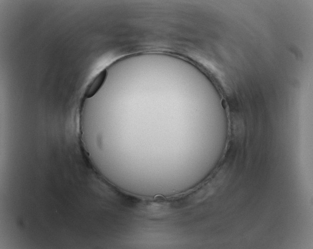 X0000116841365200912312046