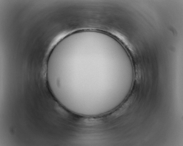 X0000116841366200912312046