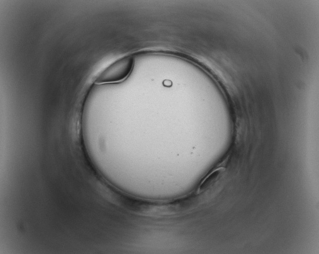 X0000116841367200912312046