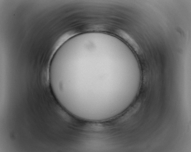 X0000116841370200912312046