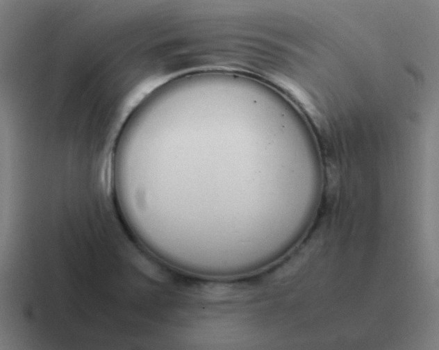 X0000116841371200912312046