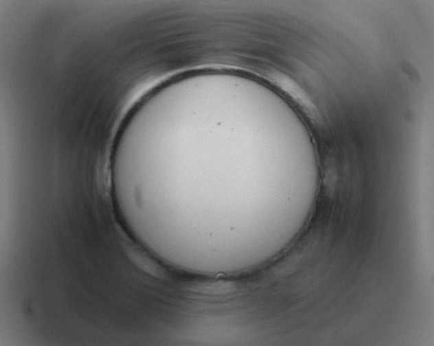 X0000116841372200912312046