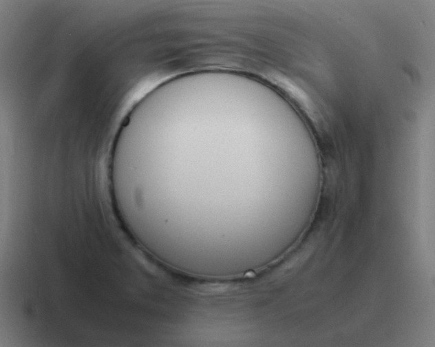 X0000116841373200912312046