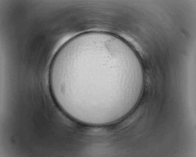 X0000116841375200912312046