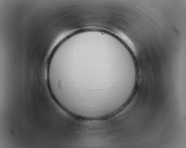 X0000116841376200912312046