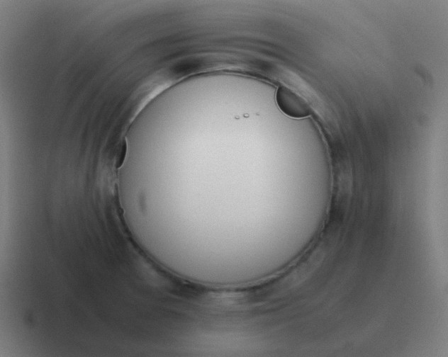 X0000116841377200912312046