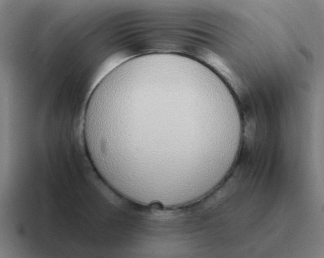 X0000116841378200912312046