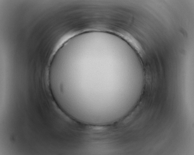 X0000116841382200912312046