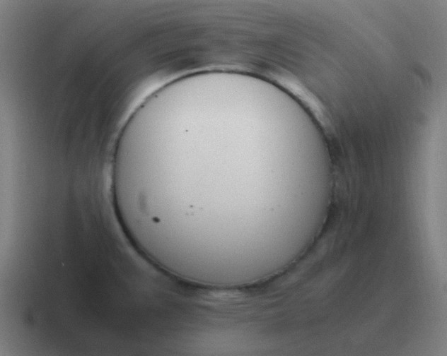 X0000116841383200912312046