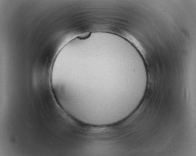 X0000116841386200912312046