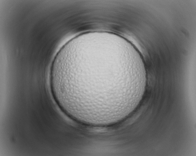 X0000116841387200912312046