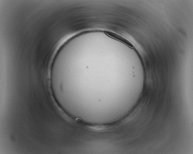 X0000116841388200912312046