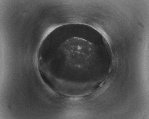 X0000116841389200912312046