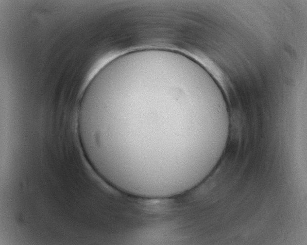 X0000116841390200912312046