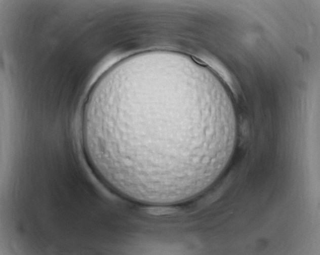 X0000116841391200912312046