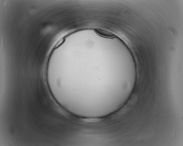 X0000116841392200912312046